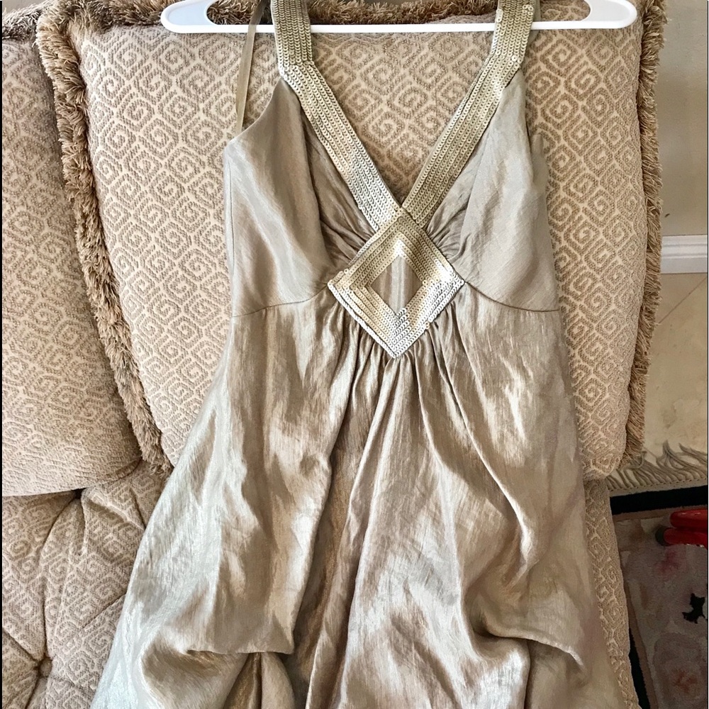 BCBG FANCY DRESS. Brand new never worn.